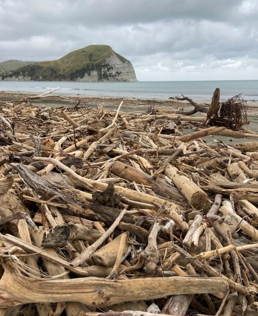 Woody Debris Clean Up Around Wairoa COVID 19 Wairoa District Council