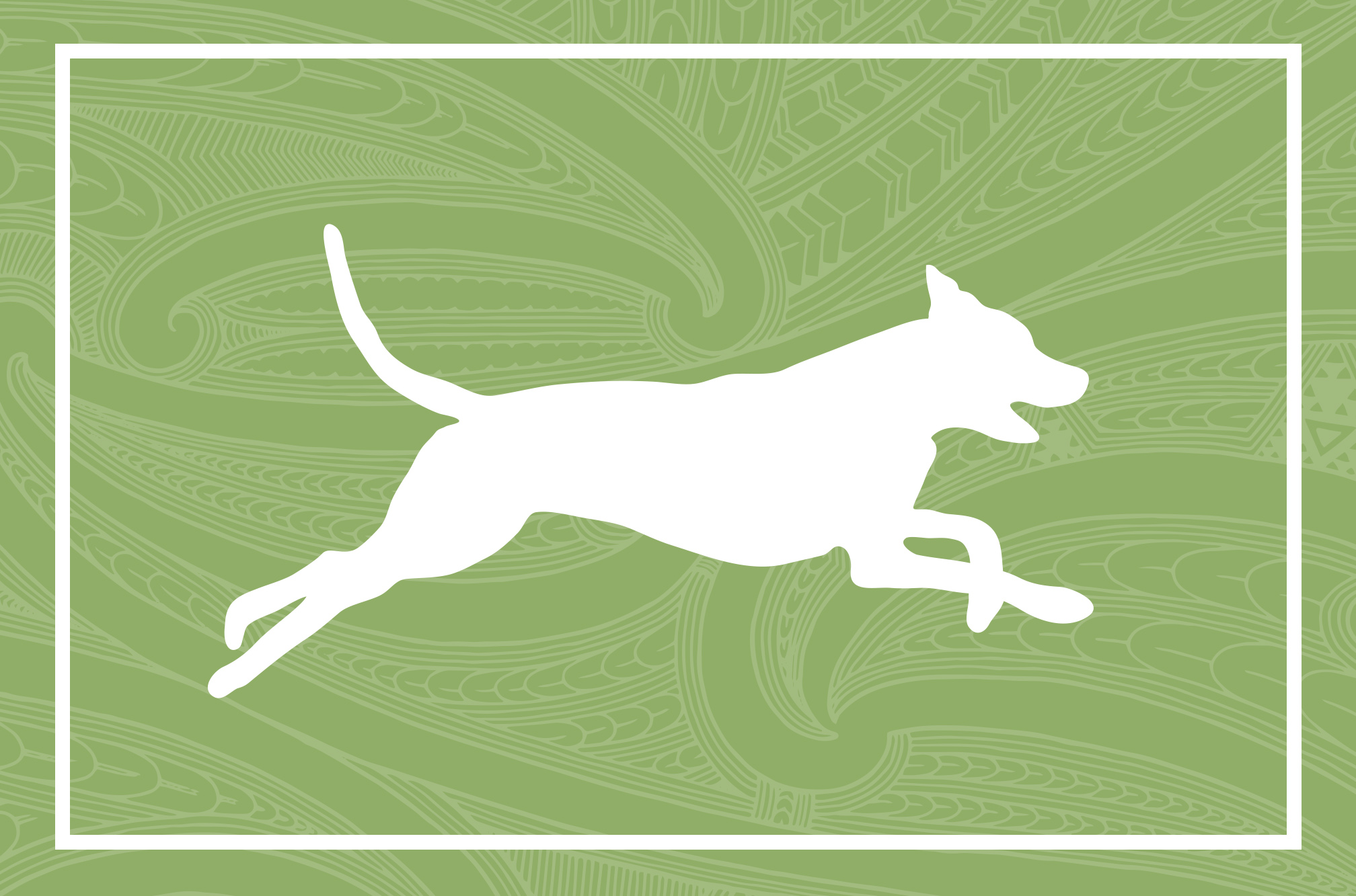 be-a-responsible-dog-owner-covid-19-wairoa-district-council