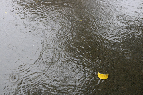 Heavy rain impacts