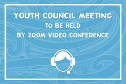 Infographic ZOOM Youth Council