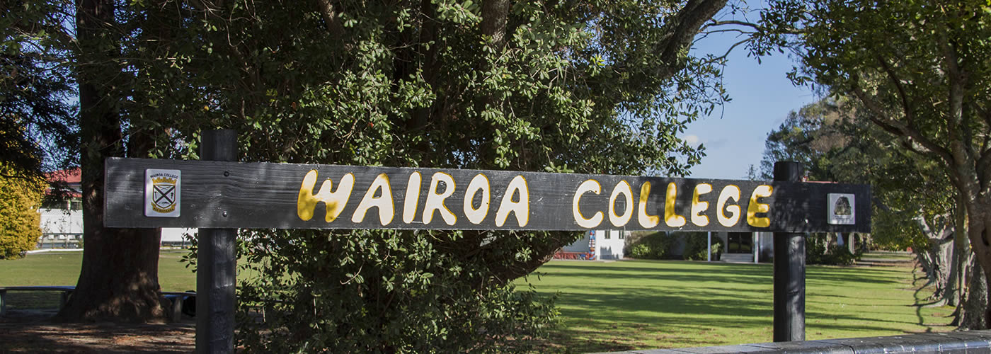 Schools | Wairoa District Council