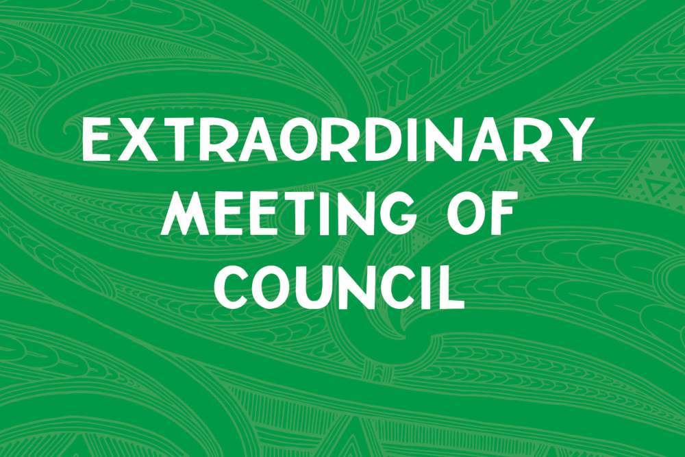 Extraordinary Meeting of Council