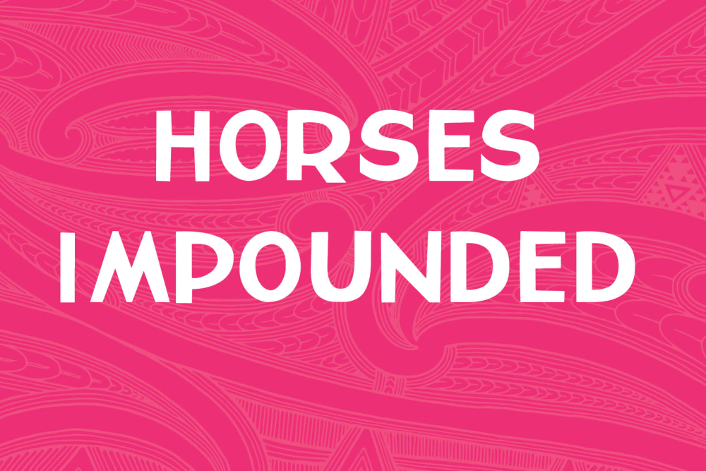 Horses Impounded - Auction Cancelled