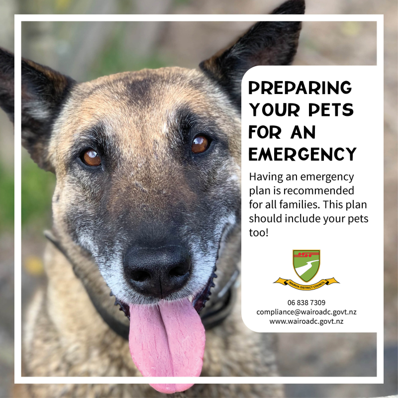 Preparing your pet for an emergency