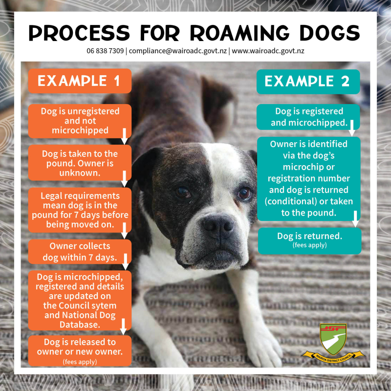 Process for Roaming dogs