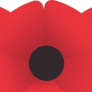 three poppies
