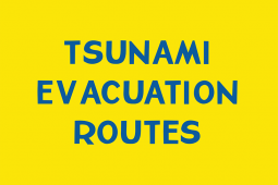 Tsunami Evacuation Routes