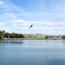 Wairoa River